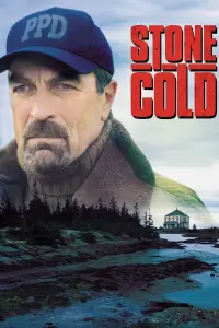 Poster to the movie "Stone Cold" #406407