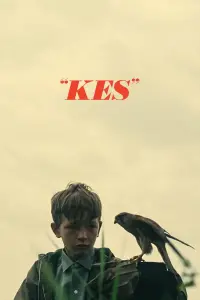 Poster to the movie "Kes" #364637