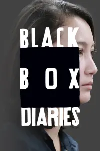 Poster to the movie "Black Box Diaries" #197702