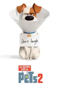 Poster to the movie "The Secret Life of Pets 2" #32690