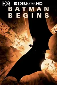 Poster to the movie "Batman Begins" #23888