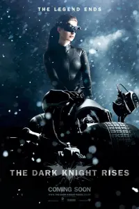 Poster to the movie "The Dark Knight Rises" #155439