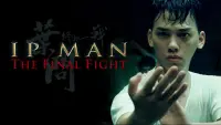 Backdrop to the movie "Ip Man: The Final Fight" #302372