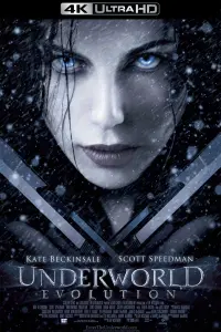 Poster to the movie "Underworld: Evolution" #83186