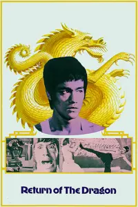 Poster to the movie "The Way of the Dragon" #82882