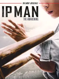 Poster to the movie "Ip Man: The Awakening" #40073