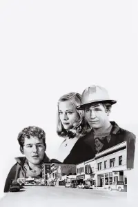 Poster to the movie "The Last Picture Show" #378724