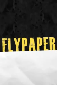 Poster to the movie "Flypaper" #152953