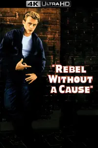 Poster to the movie "Rebel Without a Cause" #121093