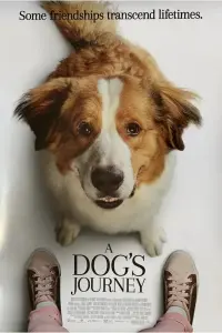 Poster to the movie "A Dog