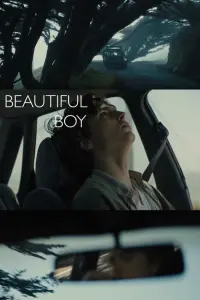 Poster to the movie "Beautiful Boy" #207694