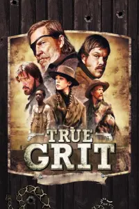 Poster to the movie "True Grit" #93847