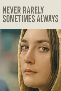 Poster to the movie "Never Rarely Sometimes Always" #103983