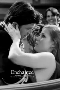 Poster to the movie "Enchanted" #544336