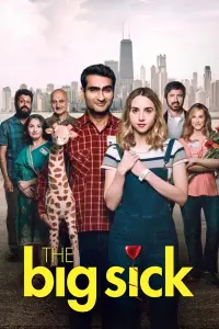 Poster to the movie "The Big Sick" #223182