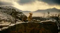 Backdrop to the movie "Mufasa: The Lion King" #448792