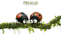 Backdrop to the movie "Minuscule 2: Mandibles from Far Away" #152205