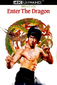 Poster to the movie "Enter the Dragon" #65997