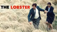 Backdrop to the movie "The Lobster" #76461