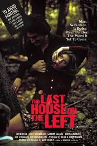 Poster to the movie "The Last House on the Left" #122880