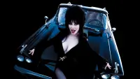 Backdrop to the movie "Elvira, Mistress of the Dark" #278250