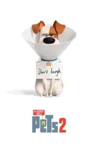 Poster to the movie "The Secret Life of Pets 2" #32676