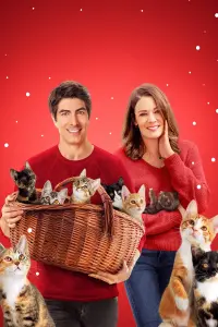 Poster to the movie "The Nine Kittens of Christmas" #594392