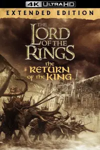 Poster to the movie "The Lord of the Rings: The Return of the King" #11595