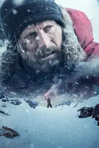 Poster to the movie "Arctic" #560748