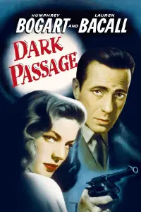 Poster to the movie "Dark Passage" #228637