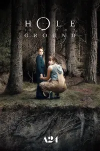 Poster to the movie "The Hole in the Ground" #135690