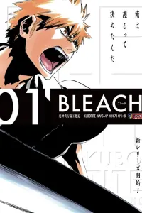 Poster to the movie "Bleach the Movie: Memories of Nobody" #586128