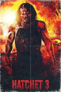 Poster to the movie "Hatchet III" #418737