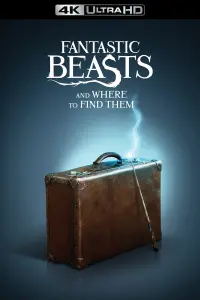 Poster to the movie "Fantastic Beasts and Where to Find Them" #25118