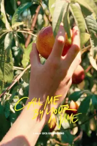 Poster to the movie "Call Me by Your Name" #37206