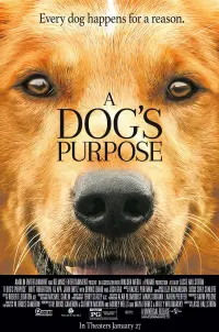 Poster to the movie "A Dog