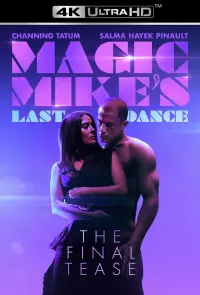 Poster to the movie "Magic Mike