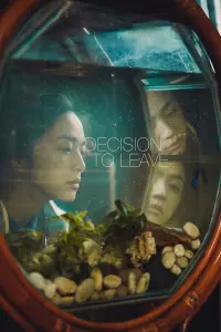 Poster to the movie "Decision to Leave" #38249