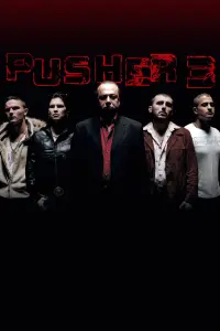 Poster to the movie "Pusher 3" #234056