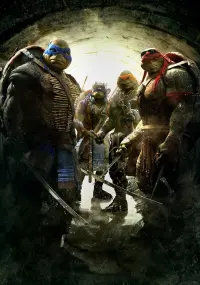 Poster to the movie "Teenage Mutant Ninja Turtles" #376299