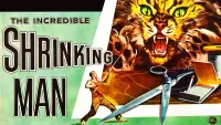 Backdrop to the movie "The Incredible Shrinking Man" #212657