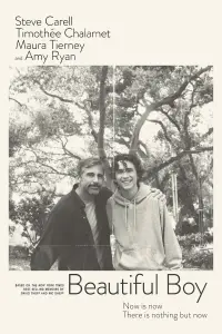 Poster to the movie "Beautiful Boy" #98537