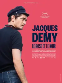 Poster to the movie "Jacques Demy, le rose et le noir" #473440