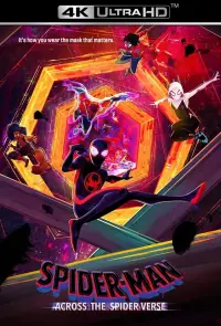 Poster to the movie "Spider-Man: Across the Spider-Verse" #3196