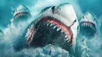 Backdrop to the movie "Megalodon: The Frenzy" #524811