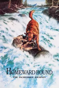 Poster to the movie "Homeward Bound: The Incredible Journey" #251075