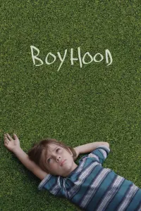 Poster to the movie "Boyhood" #210796