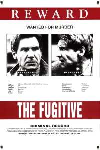 Poster to the movie "The Fugitive" #70090