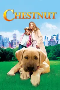 Poster to the movie "Chestnut: Hero of Central Park" #27077