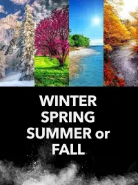 Poster to the movie "Winter Spring Summer or Fall" #415959